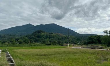 Residential Lot 2,500 sqm in Baliti Arayat, Pampanga for Sale