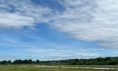 Residential Lot 2,500 sqm in Baliti Arayat, Pampanga for Sale