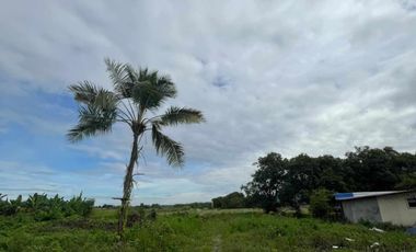 Residential Lot 2,500 sqm in Baliti Arayat, Pampanga for Sale