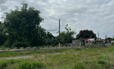 Residential Lot 2,500 sqm in Baliti Arayat, Pampanga for Sale