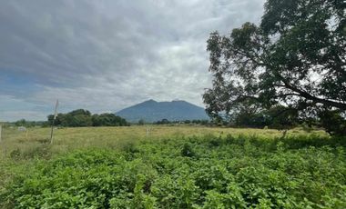 Residential Lot 2,500 sqm in Baliti Arayat, Pampanga for Sale