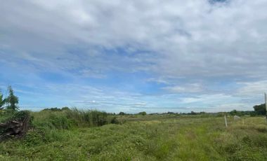 Residential Lot 2,500 sqm in Baliti Arayat, Pampanga for Sale