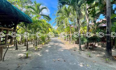 EXPANSIVE FULLY FURNISHED ESTATE FOR SALE – 13,937 SQM OF SERENITY!