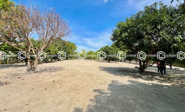 EXPANSIVE FULLY FURNISHED ESTATE FOR SALE – 13,937 SQM OF SERENITY!