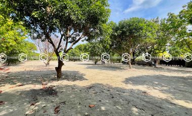 EXPANSIVE FULLY FURNISHED ESTATE FOR SALE – 13,937 SQM OF SERENITY!