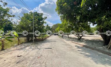 EXPANSIVE FULLY FURNISHED ESTATE FOR SALE – 13,937 SQM OF SERENITY!