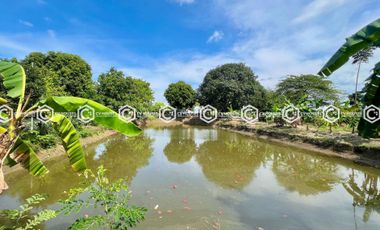 EXPANSIVE FULLY FURNISHED ESTATE FOR SALE – 13,937 SQM OF SERENITY!