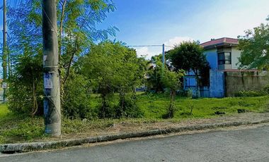 Residential Land for sale in Lucena City near SM Malls