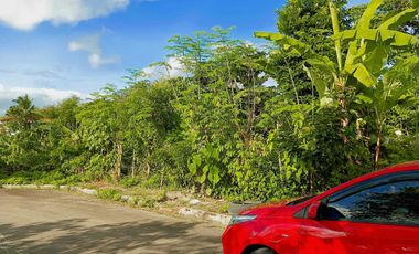 Residential land for sale in Lucena City near Doctors Hospital