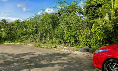 Residential land for sale in Lucena City near Doctors Hospital