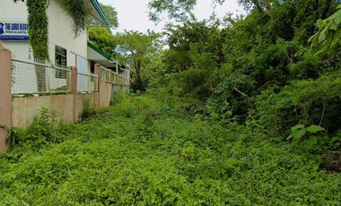 Residential land for sale in Lucena City near Enverga University