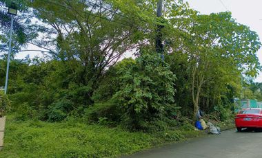Residential land for sale in Lucena City near Enverga University