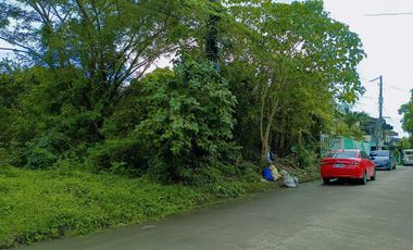 Residential land for sale in Lucena City near Enverga University