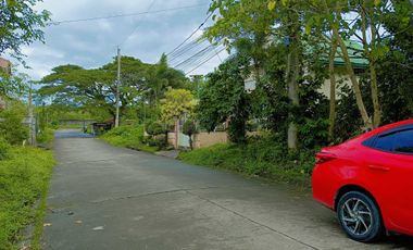 Residential land for sale in Lucena City near Enverga University