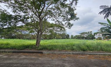 FIRE SALE PRICE! FAIRWAY LOT EAGLE RIDGE GOLF & COUNTRY CLUB CAVITE