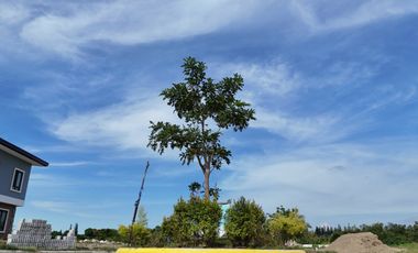 150 sqm RESIDENTIAL LOTS AT MENDEZ CAVITE