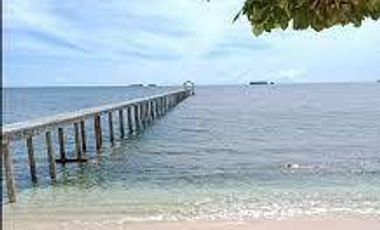 Absolutely Spectacular Beachfront Resort in Siargao Island with Jetty