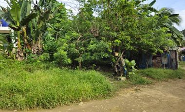 Bohol lot for sale 800 sqm and 655 sqm clean title Tagbilaran City 5k/sqm net