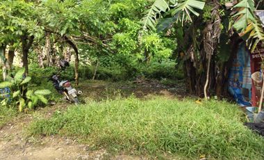 Bohol lot for sale 800 sqm and 655 sqm clean title Tagbilaran City 5k/sqm net