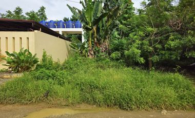 Bohol lot for sale 800 sqm and 655 sqm clean title Tagbilaran City 5k/sqm net