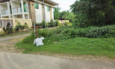 Bohol lot for sale 800 sqm and 655 sqm clean title Tagbilaran City 5k/sqm net