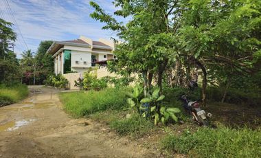 Bohol lot for sale 800 sqm and 655 sqm clean title Tagbilaran City 5k/sqm net