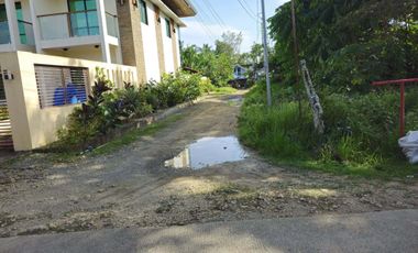 Bohol lot for sale 800 sqm and 655 sqm clean title Tagbilaran City 5k/sqm net