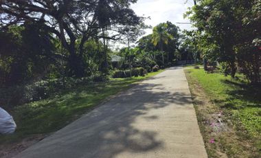 Bohol lot for sale 800 sqm and 655 sqm clean title Tagbilaran City 5k/sqm net