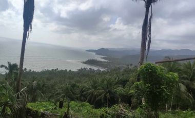 For Sale Residential Lot with beach view in Malapad, Real, Quezon