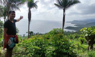 For Sale Residential Lot with beach view in Malapad, Real, Quezon