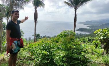 For Sale Residential Lot with beach view in Malapad, Real, Quezon