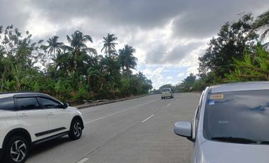 Lot For Sale in Amadeo, Cavite! 2.2 Hectares at P3,500 per sqm