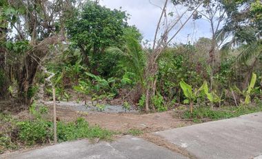 Lot For Sale in Amadeo, Cavite! 2.2 Hectares at P3,500 per sqm
