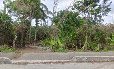 Lot For Sale in Amadeo, Cavite! 2.2 Hectares at P3,500 per sqm