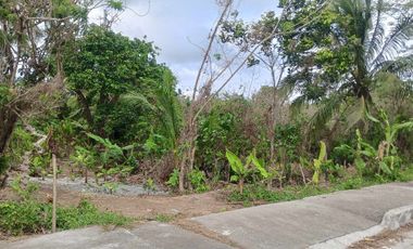 Lot For Sale in Amadeo, Cavite! 2.2 Hectares at P3,500 per sqm