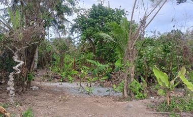 Lot For Sale in Amadeo, Cavite! 2.2 Hectares at P3,500 per sqm