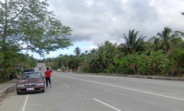 Lot For Sale in Amadeo, Cavite! 2.2 Hectares at P3,500 per sqm