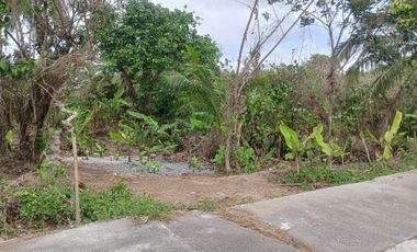 Lot For Sale in Amadeo, Cavite! 2.2 Hectares at P3,500 per sqm