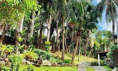 Beautiful House in Subic Bay for Sale