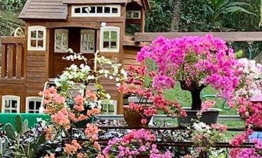 Beautiful House in Subic Bay for Sale
