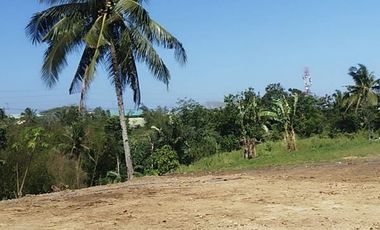 BIG Lot in Bgy. Bucal Amadeo, Cavite for SALE! 8,000 sqm at P3,500 per sqm