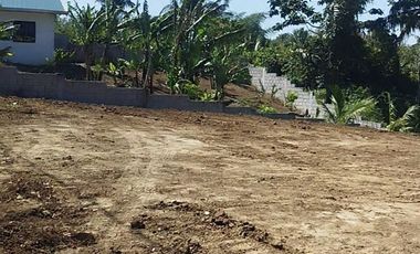 BIG Lot in Bgy. Bucal Amadeo, Cavite for SALE! 8,000 sqm at P3,500 per sqm
