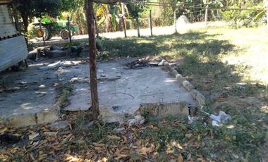 For Sale: 4,500 sqm Residential Lot in Brgy Naya, Pura, Tarlac