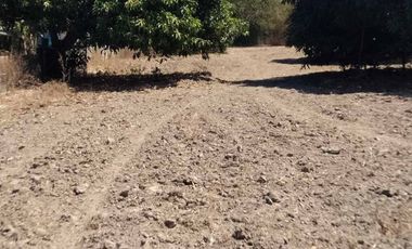 For Sale: 4,500 sqm Residential Lot in Brgy Naya, Pura, Tarlac