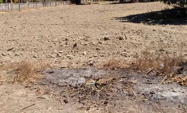 For Sale: 4,500 sqm Residential Lot in Brgy Naya, Pura, Tarlac