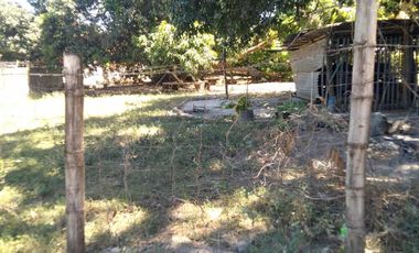 For Sale: 4,500 sqm Residential Lot in Brgy Naya, Pura, Tarlac