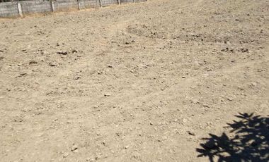 For Sale: 4,500 sqm Residential Lot in Brgy Naya, Pura, Tarlac