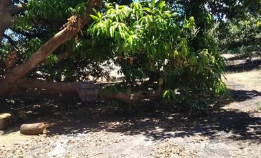 For Sale: 4,500 sqm Residential Lot in Brgy Naya, Pura, Tarlac