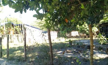 For Sale: 4,500 sqm Residential Lot in Brgy Naya, Pura, Tarlac