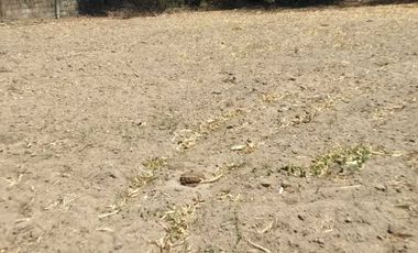 For Sale: 4,500 sqm Residential Lot in Brgy Naya, Pura, Tarlac